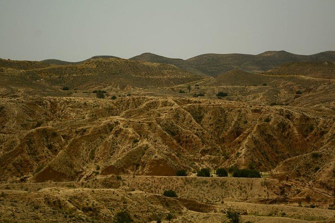 Ksar Ghilane 1 day: The hot spring and the homestay - Key highlights worth planning around