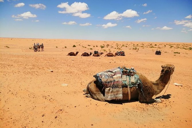 Ksar Ghilane 1 day: The hot spring and the homestay - Food and drinks: what your lunch covers and what you should bring