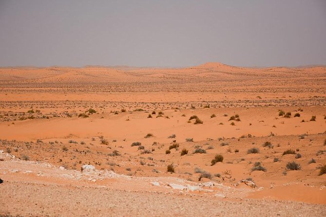 Ksar Ghilane 1 day: The hot spring and the homestay - Tamezret tea and the art of a short Berber village stop