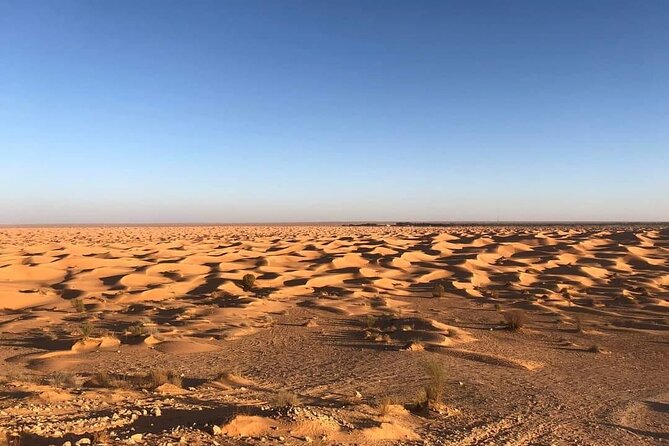 Night excursion to the desert and Berber village from Djerba - Key highlights you will feel right away