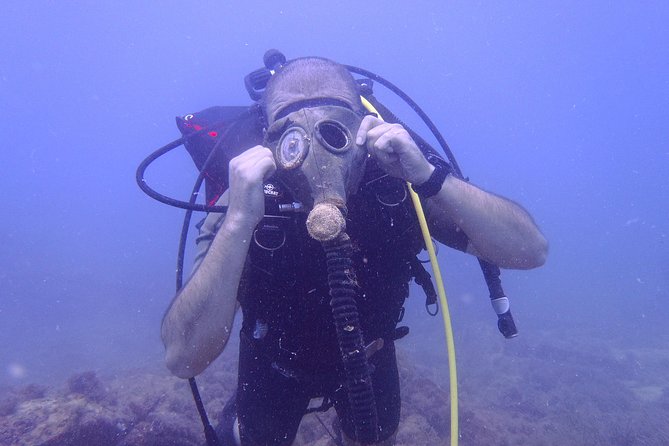 Octopus Rock Exploration - Certified Diver - Starting at Club de Plongée La Sirène in Djerba