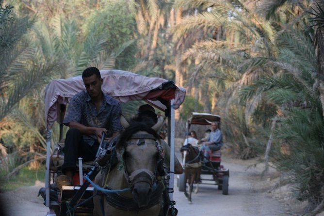 PRIVATE 2 day SAFARI (Ksar Ghilane and Atlas Mountains) from Jerba - Douz, the desert capital, and deciding between camel and quad