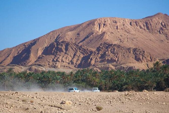 PRIVATE 2 day SAFARI (Ksar Ghilane and Atlas Mountains) from Jerba - Tozeur oasis walk plus overnight hotel with pool and thermal bath