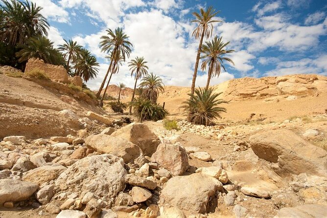 PRIVATE 2 day SAFARI (Ksar Ghilane and Atlas Mountains) from Jerba - Chebika in the Atlas Mountains: cooler walks and natural green pockets