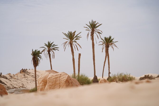 Private 3 Day Tour in Southern Tunisia or More - Matmata cave villages and the starry sky evening, desert stories with real atmosphere