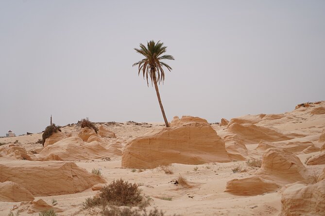 Private 3 Day Tour in Southern Tunisia or More - Your guide can make or break it, and these guides are repeatedly praised
