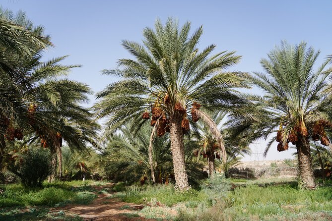 Private 3 Day Tour in Southern Tunisia or More - Comfort details that matter on this kind of circuit