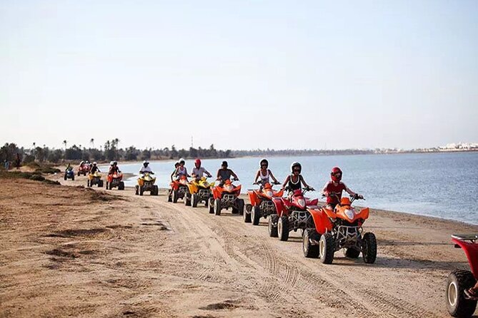 Private 3h00 quad ride on the island of Djerba - Key things you’ll notice on this Djerba quad ride