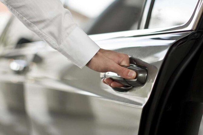 Private Arrival Transfer: Tunis Airport to Tunis Hotel - The Air-Conditioned Minivan Ride Into Tunis City