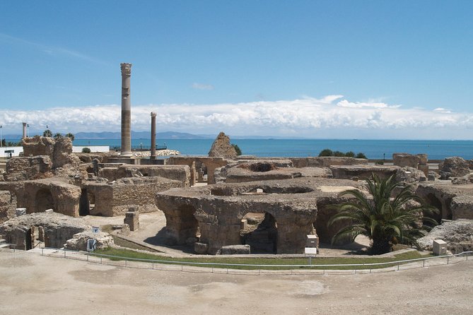 Private Day Tour Tunis Medina Carthage Sidi Bou Said Bardo Museum - Key reasons this Tunis day tour works
