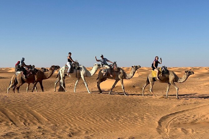 Private Day Trip Ksar Ghilane Oasis - Djerba to the Desert, With Roman Roads in Your Back Pocket