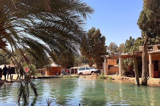 Private Day Trip Ksar Ghilane Oasis - Price and Value: Does $133.76 Buy Real Convenience?