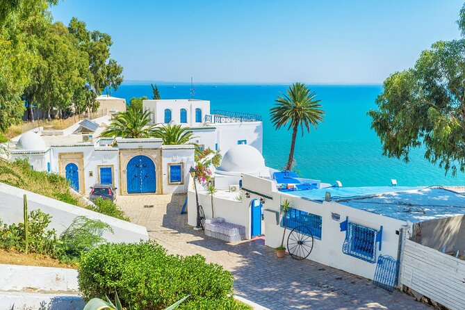 Private Day Trip Tunis Carthage Sidi Bou Said - Carthage ruins with a guide: the difference between seeing and understanding