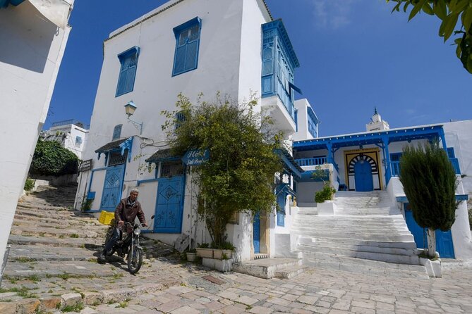 Private Day Trip Tunis Carthage Sidi Bou Said - Medina of Tunis: narrow streets, Zitouna Mosque area, and craft-market energy