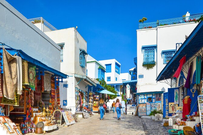 Private Day Trip Tunis Carthage Sidi Bou Said - The drive back to Sousse: finish strong, not cranky