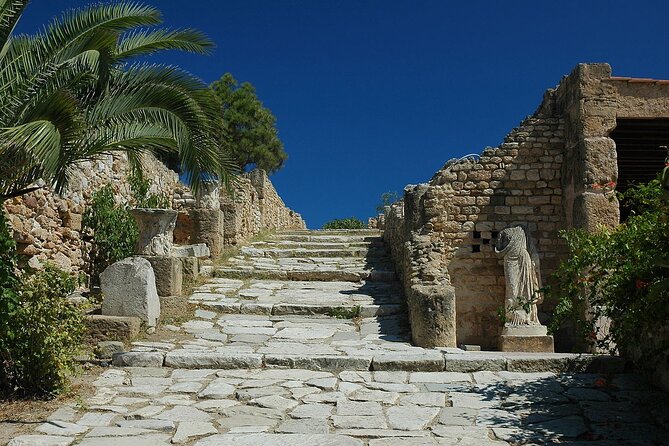 Private Day Trip Tunis Carthage Sidi Bou Said - Value check: who this trip is for