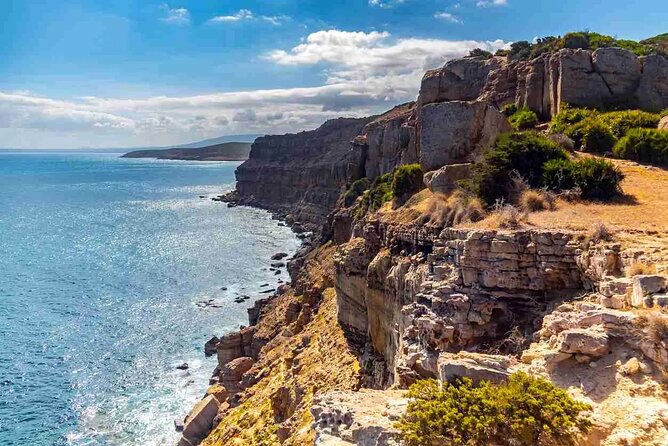 Private Excursion to the Cap Bon Peninsula - Key Highlights You Should Know Before You Go