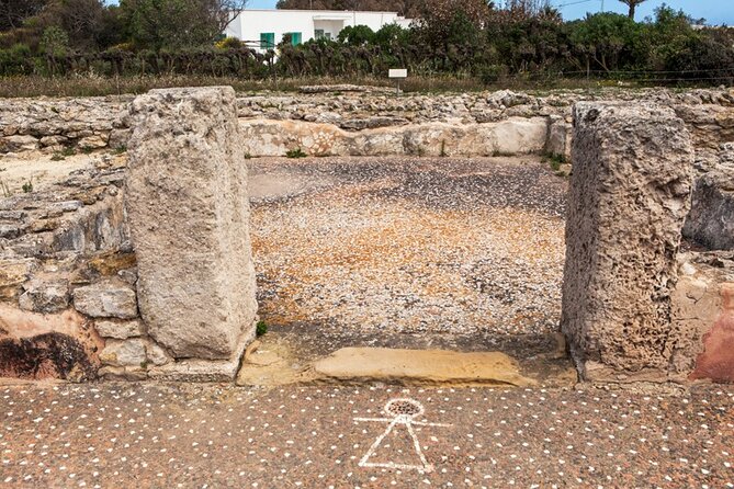 Private Excursion to the Cap Bon Peninsula - Yasmine Hammamet Medina: History, Tourism Roots, and Sea Sounds