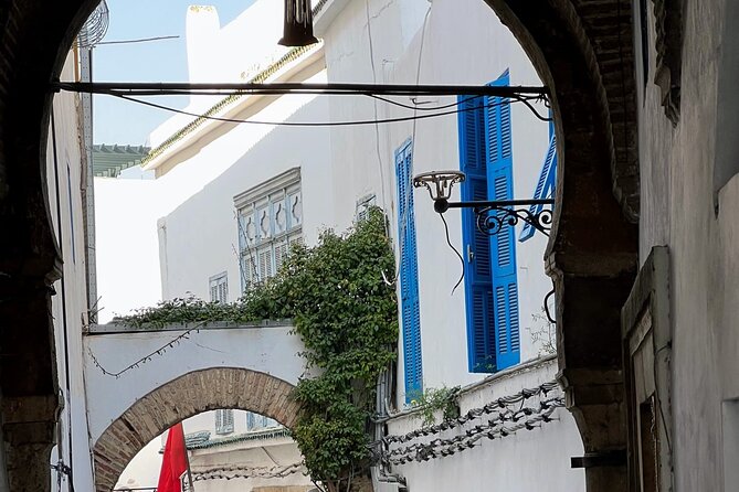Private Group Day Tour Tunis Medina Carthage Sidi Bou Said - The Guide Experience: What You Gain When Someone Explains