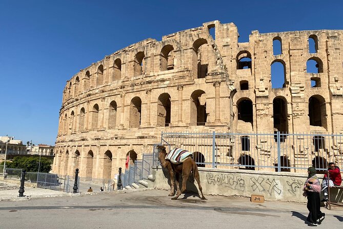 Private Half Day Tour Roman Coliseum EL JEM - Logistics That Make or Break the Experience