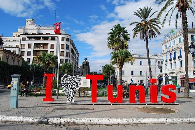 Private Half Day Tunis City Tour - Private Car, Private Pace: What Personalized Really Means