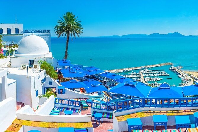 Private Tour Bardo Museum, Carthage, Sidi Bou Said and Medina - Quick highlights