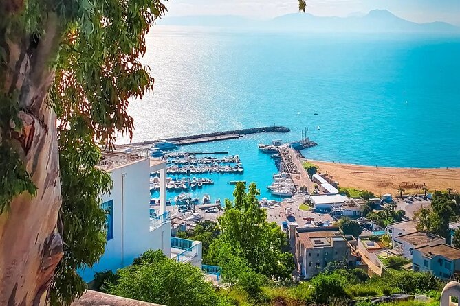 Private Tour Bardo Museum, Carthage, Sidi Bou Said and Medina - Should you book this private Tunis day tour?