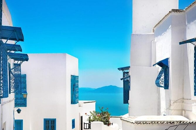 Private tour: Medina,Carthage ,Sidi Bou Said, Bardo Museum+lunch - Key Highlights You Actually Feel During the Day
