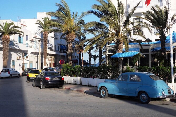 Private tour: Medina,Carthage ,Sidi Bou Said, Bardo Museum+lunch - Who this private tour fits best