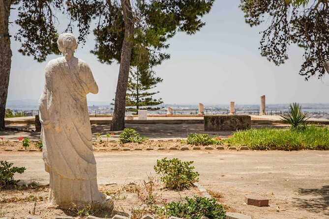 Private Walking Tour of Carthage Archaeological Site in Tunisia - Key highlights at a glance