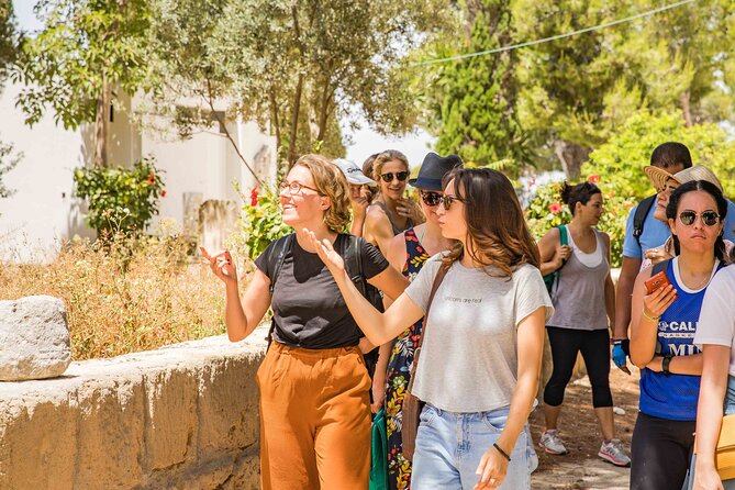 Private Walking Tour of Carthage Archaeological Site in Tunisia - Price and what you actually get for $61.94