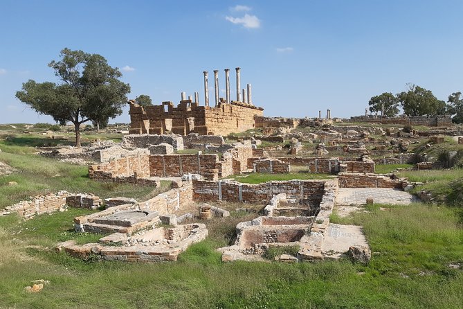Roman Archeology Guided Tour Thuburbo Majus & Uthina - Comfort and value: tickets handled, Wi-Fi included, and transport that saves energy