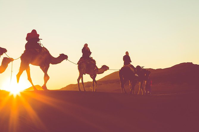 Sunset or Sunrise Camel ride in the Sahara Desert of Douz - Quick hits for your Douz camel safari