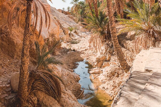 Tamerza, Chebika, Mides Canyons and Star Wars Full-Day Tour - Star Wars sites, mostly episodes 1 through 4, plus the real scenery