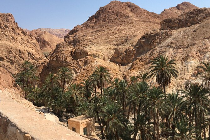 Tamerza, Chebika, Mides Canyons and Star Wars Full-Day Tour - Who this tour suits best, and who might prefer a different style