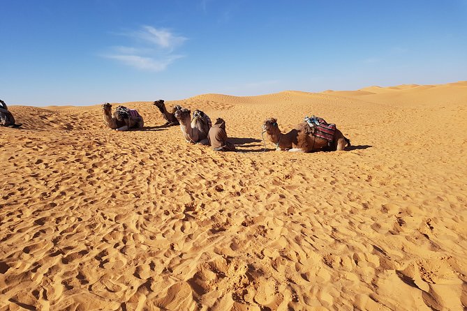 Tatouine - Cheneni - Ksar Ghuilaine - Matmata: 2 days visit - Key points before you go