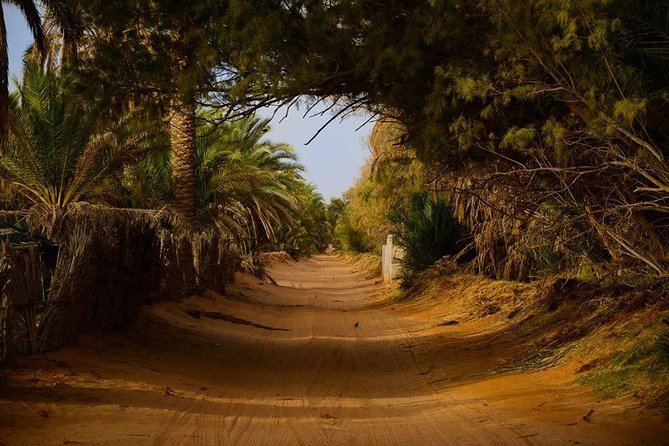 Tatouine - Cheneni - Ksar Ghuilaine - Matmata: 2 days visit - Day 2 starts with Ksar Ghilane oasis time