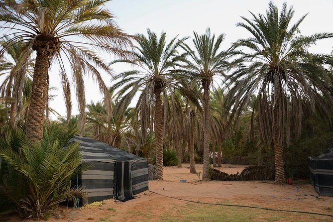Tatouine - Cheneni - Ksar Ghuilaine - Matmata: 2 days visit - Desert timing, guide energy, and why it matters more than you think