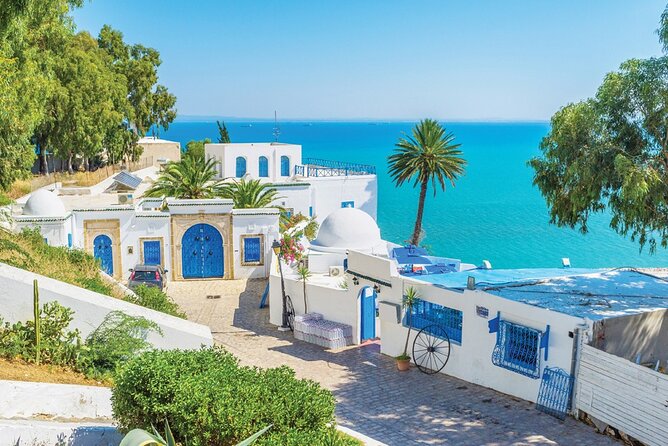 The Best of Tunisia, 3 Days Guided Tour with Lunch - What makes the tour feel smooth: pacing, pickup, and a solid team