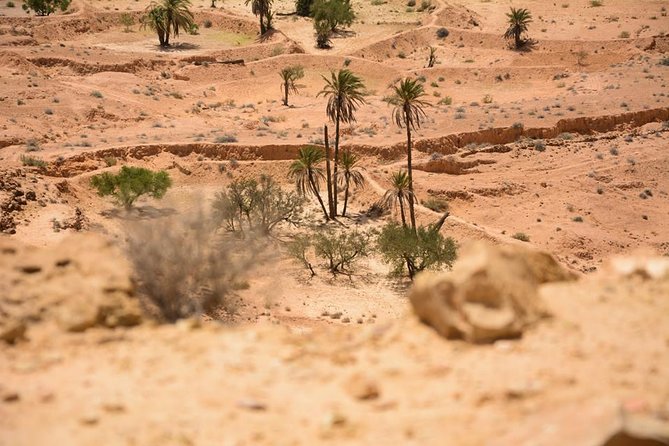 The three desert and mountain oases - Price and value: is $2,033.38 per person worth it?