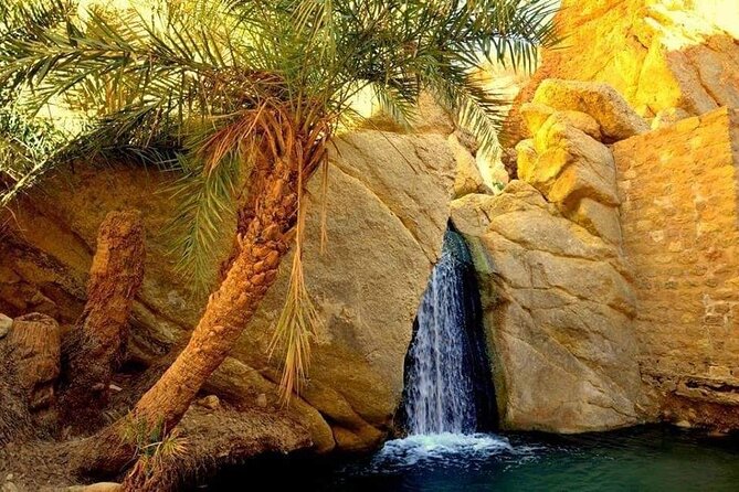 The Tunisian South between Oasis and Mountain: 3 Days / 2 Nights Douz and Tozeur - Key things to notice before you go