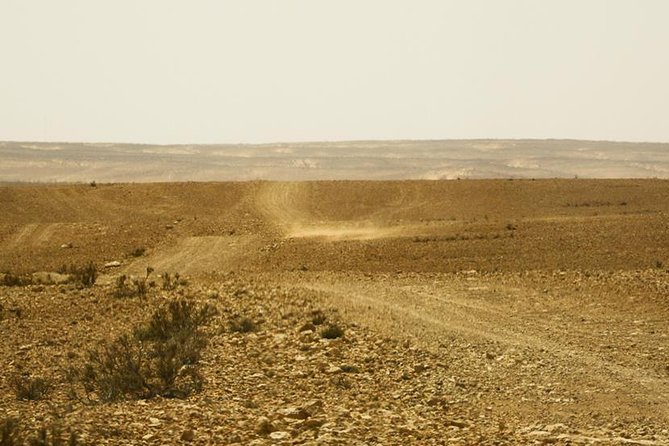 The Wonders of Tunisia: 8 days / 7 nights - Erg, Reg, and Chotts: the desert changes, so should your expectations