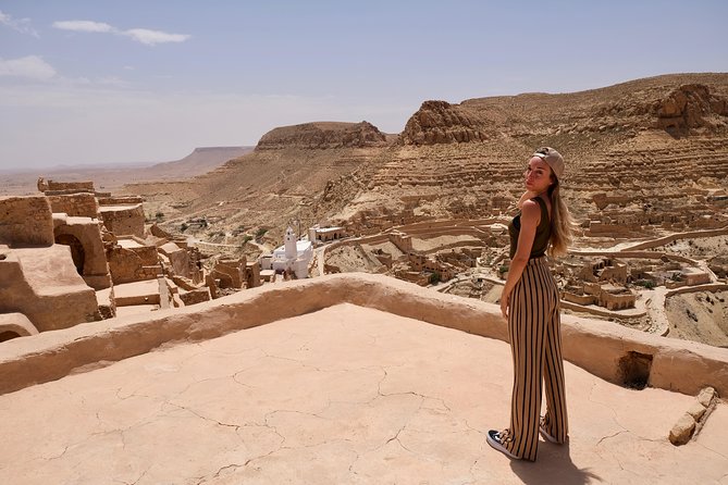 The Wonders of Tunisia: 8 days / 7 nights - Dromedaries in the wild: what to do and what not to do