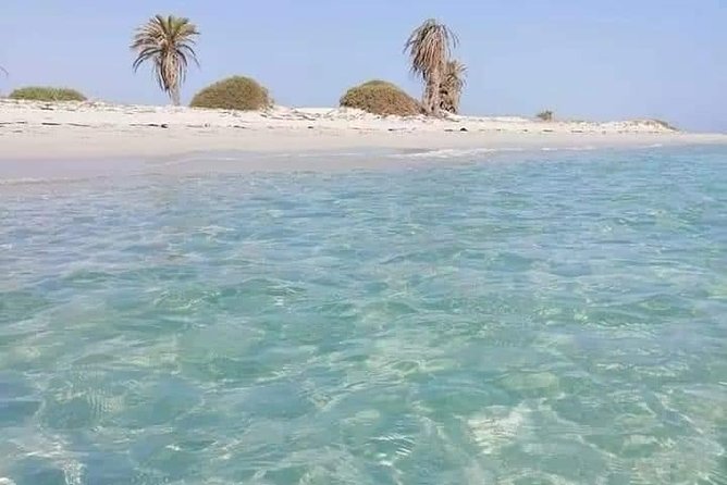 Tour of the island of Djerba the island of Lotophages - A Half-Day on Djerba That Adds Meaning, Not Just Photos