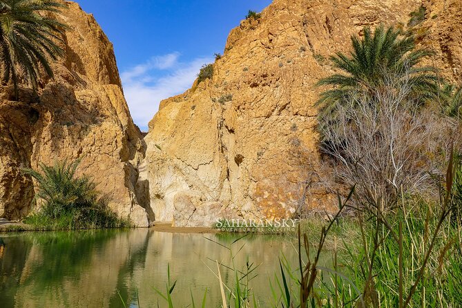 Tozeur Private Half-Day Tour: Tamerza, Chebika and Mides Canyons - Timing and Transport: What Four Hours Really Adds Up To