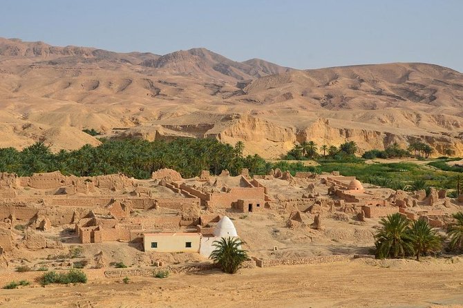 Tozeur Private Half-Day Tour: Tamerza, Chebika and Mides Canyons - Guides, Drivers, and Why Ali, Mustafa, and Farouk Can Make It Better