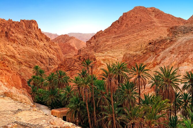 Tozeur Private Half-Day Tour: Tamerza, Chebika and Mides Canyons - Weather Matters: When the Morning Can Change