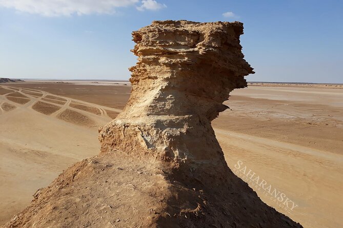 Tozeur: Tamerza, Chebika, Mides and Star Wars locations Day Tour - Tozeur in One Big Day: Oases, Canyons, and Star Wars Sand