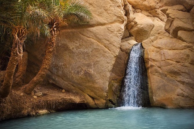 Tozeur: Tamerza, Chebika, Mides and Star Wars locations Day Tour - Chebika: The Oasis of the Sun and Ruins in the Palms