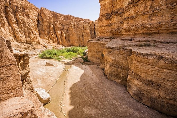 Tozeur: Tamerza, Chebika, Mides and Star Wars locations Day Tour - Mos Espa and Ong Jemel: Where the Set Meets the Sahara
